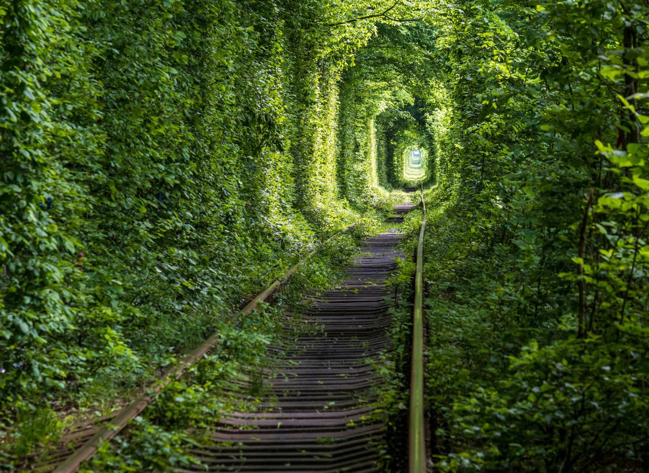 El ‘túnel del amor’, en Ucrania. Es un tramo de tres millas de vía férrea rodeado por arcos tupidos de follaje.