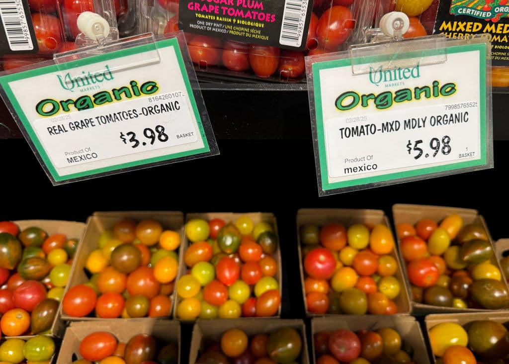 EEUU anuncia aranceles de casi el 21% para la mayoría de los tomates mexicanos