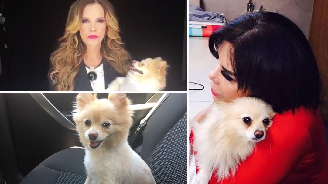 Lucía Méndez y su perrita Aura.