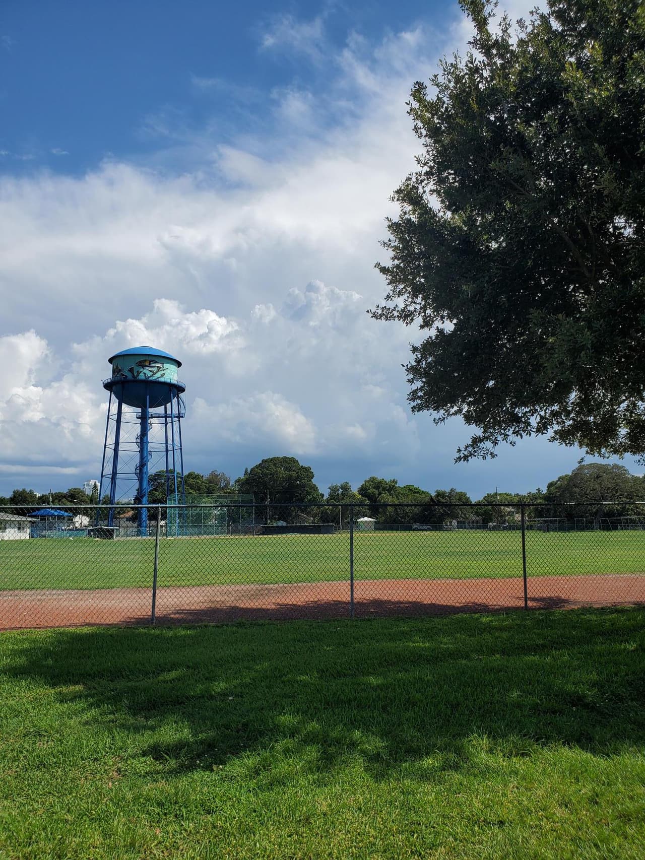 En el parque hay un campo de béisbol. También hay canchas de tenis y pickleball (una especie de juego de dobles en tenis, pero con una raqueta más pequeña). 
<br>