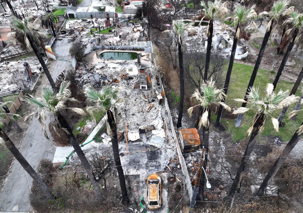 Fotos aéreas permiten apreciar cómo múltiples palmeras también resistieron al destructor Eaton Fire, en Altadena. En la emergencia trabajaron más de 3,000 bomberos y se utilizaron 16 helicópteros.
