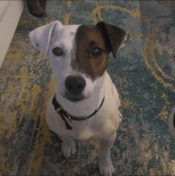 Tanto que esta chiquitina ya tiene su cuenta de Instagram y la puedes seguir con el nombre de @SuperMila21.