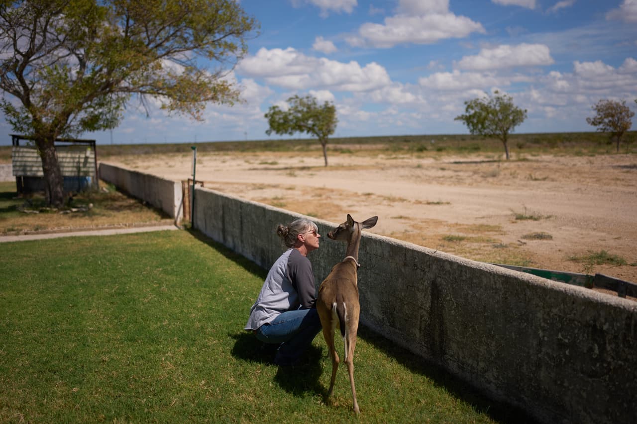 Laura Allen visita a un ciervo que suele frecuentar su rancho, el viernes 25 de septiembre de 2026, en Comstock, Texas.