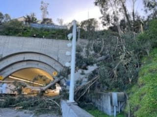 Los fuertes vientos que se han reportado a lo largo y ancho del Área de la Bahía forman parte de la llegada de una inusual tormenta invernal que causará estragos en la región por el resto de la semana.