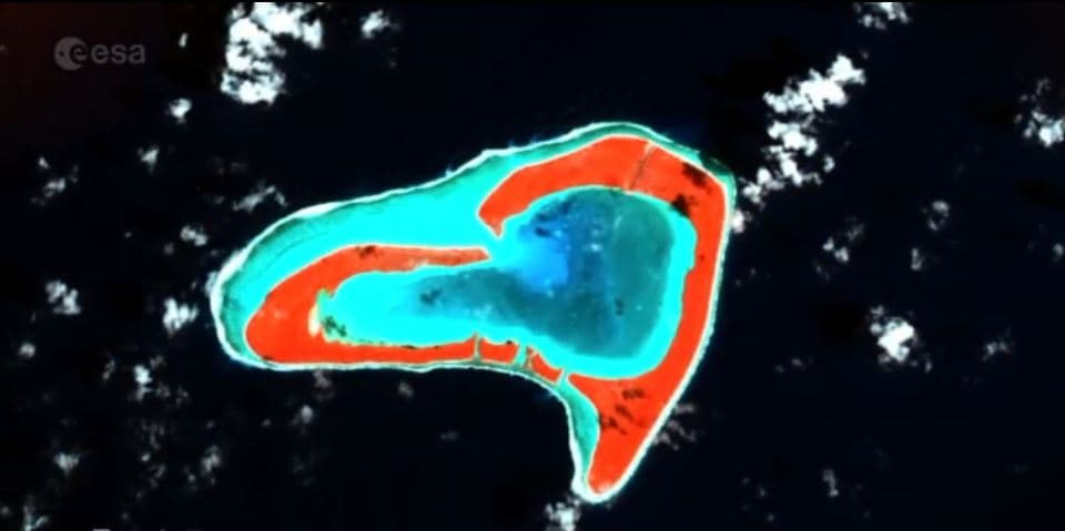 Si quieres ayudar a mantener la belleza de nuestro planeta, te invitamos a implementar
<b> las tres R en tu vida diaria. Reducir, reusar y recliclar</b>. De acuerdo con el sitio 
<b><a href="http://www.atlas.d-waste.com/" target="_blank">Waste Atlas</a> diaramente se producen más de 5,000 toneladas de basura.</b>
<br>
<br>La Isla Tupai, de las Polinecias Francesas