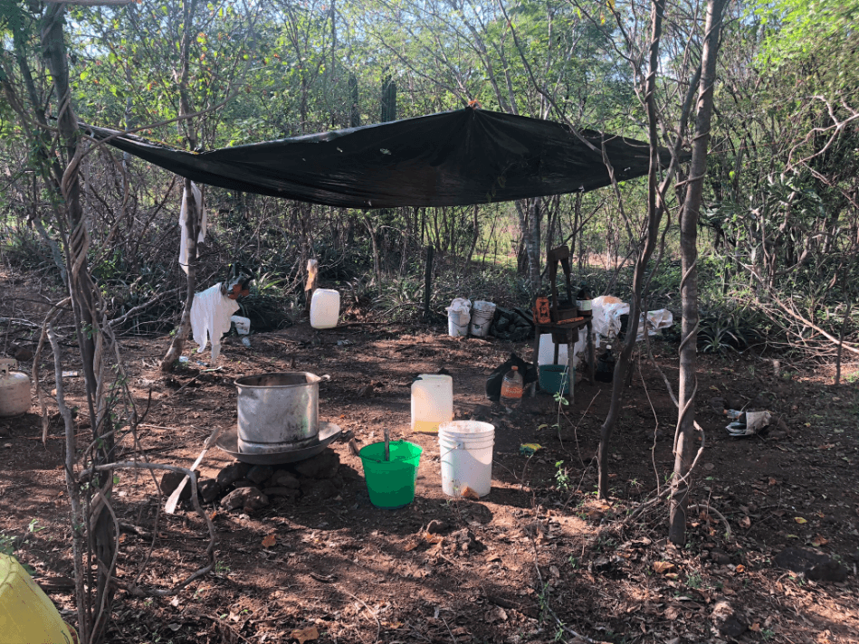 En el laboratorio hay también una prensa para filtrar el residuo, una vez cocinado.