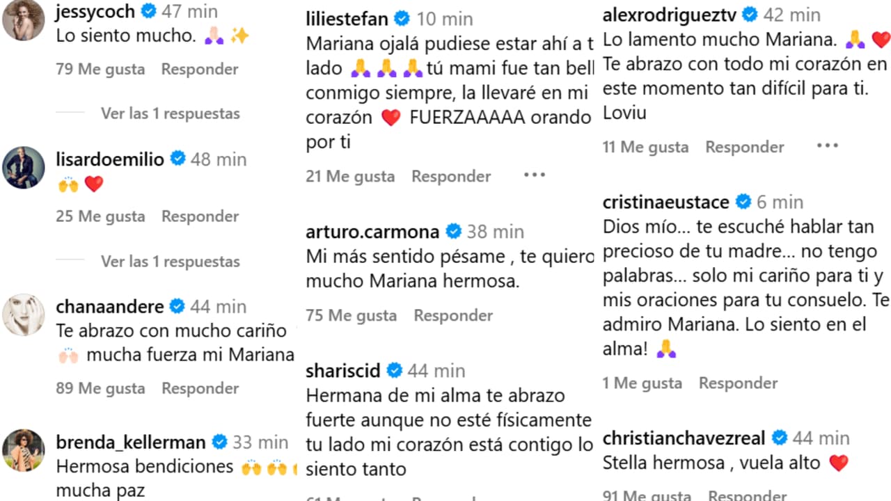 Muchos famosos y famosas le dejaron sus condolencias a Mariana Seoane a través de Instagram.