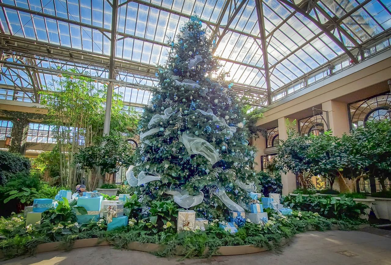 El "Silver Garden" es transformado por la magia de la Navidad. Desplácese para disfrutar de un paseo plateado por nuestra pantalla azul centelleante. Esperamos que le dé un nuevo significado a la frase "Navidad azul".