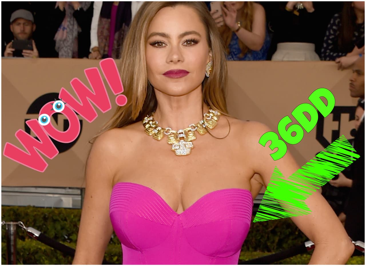 Pero el primer lugar de esta lista es para Sofía Vergara.