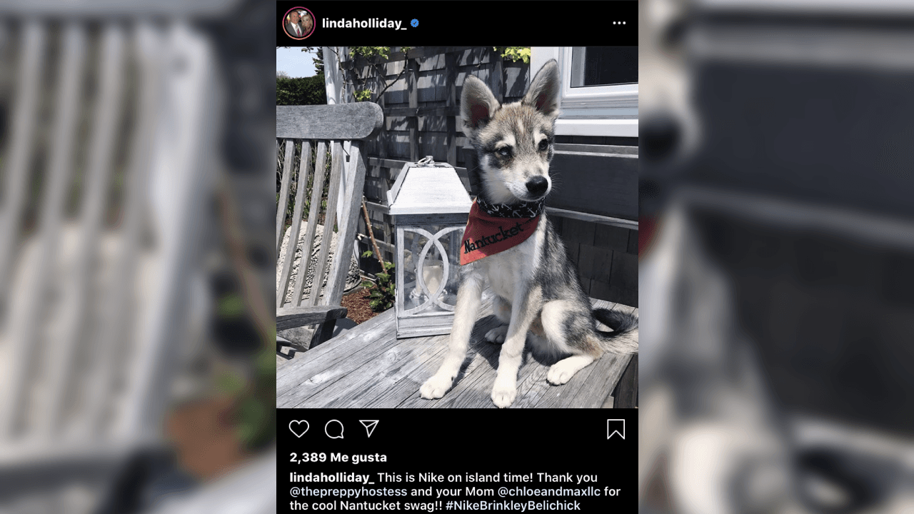 En la cuenta de la red social de Instagram Linda, ha subido fotografías de su amada mascota. ¡Él es Nike!