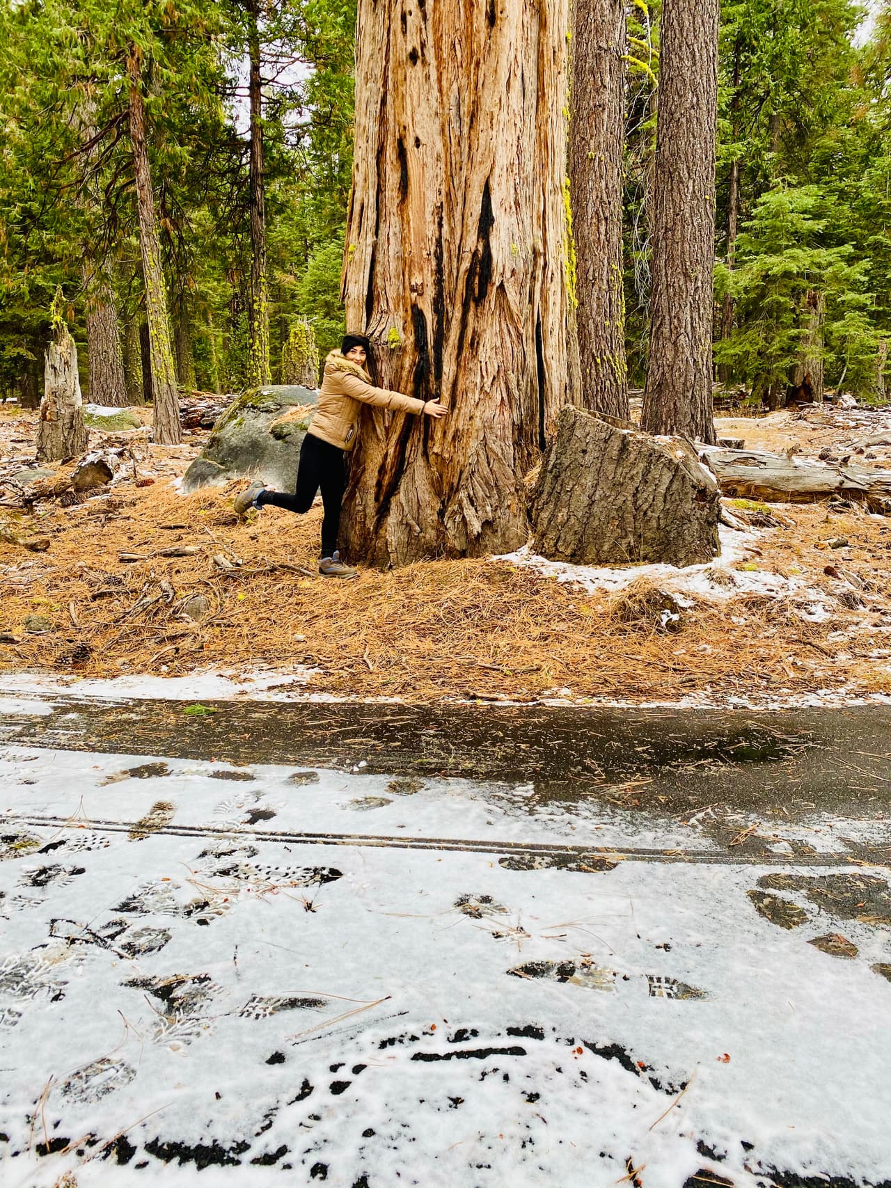 Paola Virrueta, presentadora de Noticias Univision 14 y originaria de Bolivia, ve la nieve caer por primera vez en Lake Tahoe.
