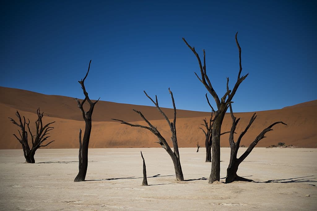 <b>Deadvlei, Namibia.</b> Es un lago seco de arcilla blanca. El cambio climático ya cambió la zona totalmente y creó una de las áreas más secas del planeta. Esto acabó con buena parte de la vegetación, que se petrificó como la silueta de lo que fue.