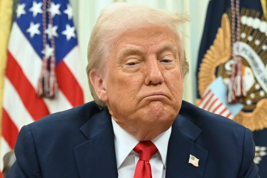 Coincidió 
<b>el presidente de Estados Unidos, el republicano Donald Trump,</b> quien comentó que "el atacante no era fanático de nadie. Y ciertamente, algo así 
<b>no se puede permitir</b> que suceda”.