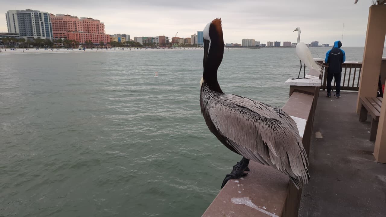 En la tienda de artículos de pesca donde se paga la entrada al muelle hay baños.