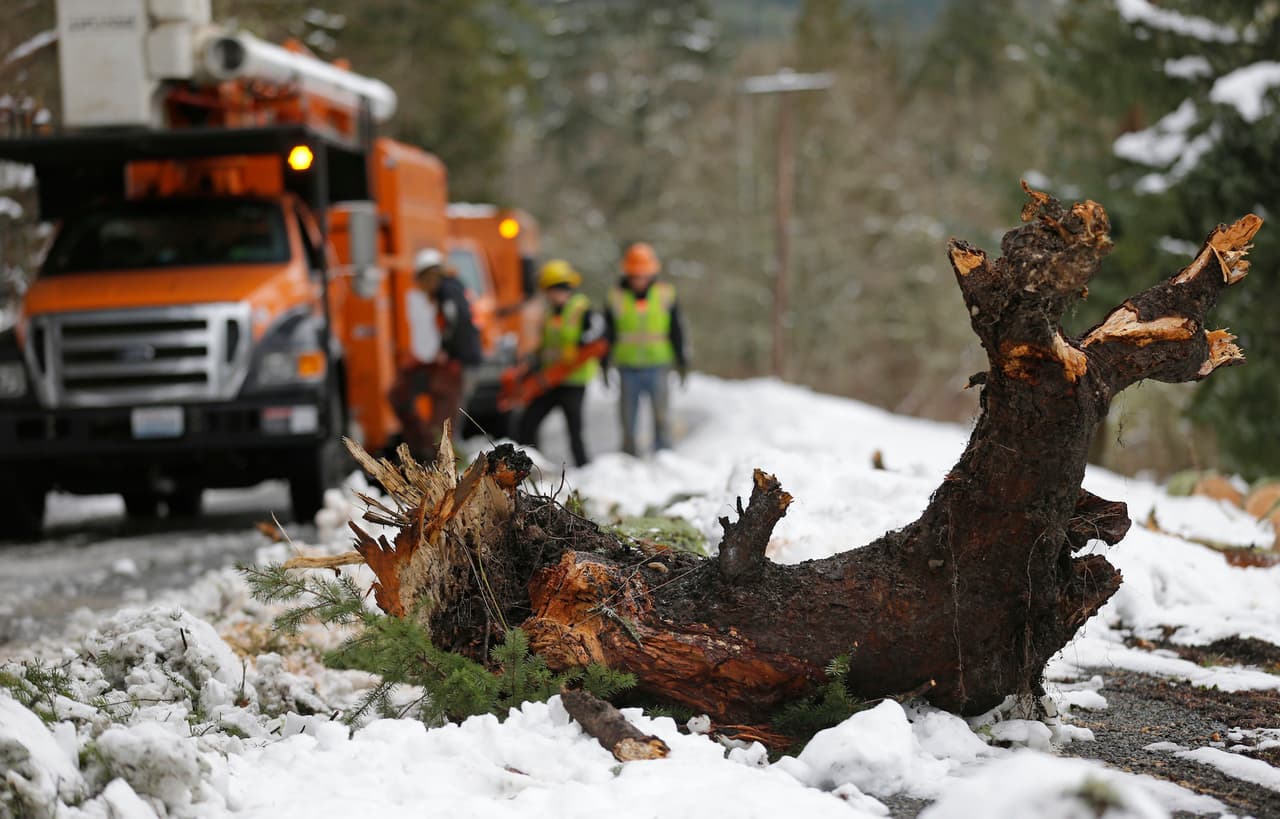 Las fuertes tormentas invernales han causado también la caída de árboles