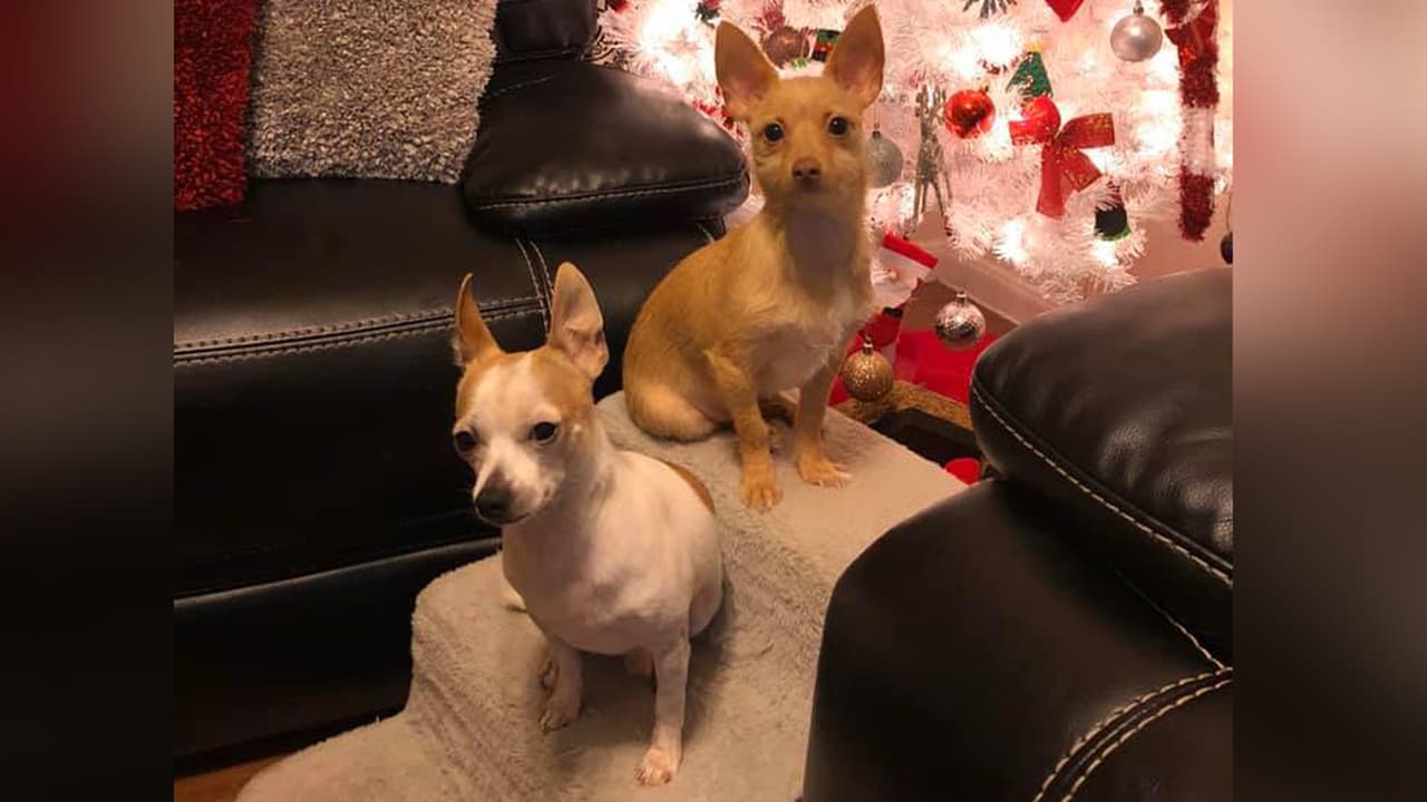 Amiay Coca Cruz Acosta - "Papi y Chloe...🥰"