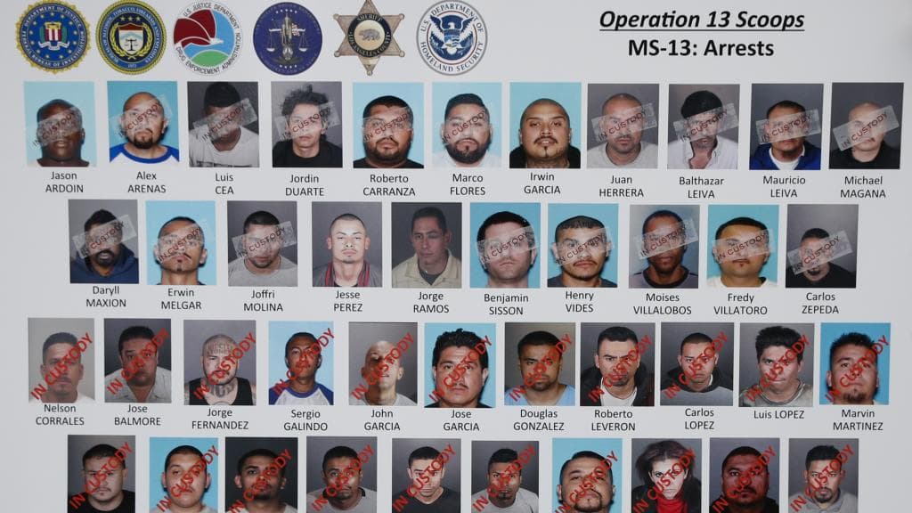 Maggie Sankikian era la única mujer entre decenas de integrantes y asociados de la Mara que fueron acusados por cometer múltiples delitos en Los Ángeles. Ella ya cumple una sentencia de 18 años en una prisión estatal por narcotráfico.