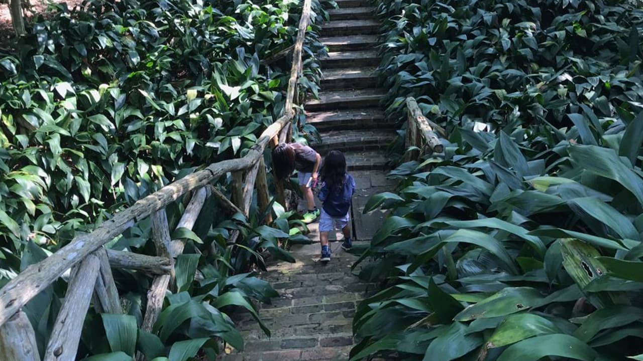 O a través de la página de internet de
<b><a href="https://www.mfah.org/visit/bayou-bend-collection-and-gardens/" target="_blank">Bayou Bend Gardens .</a></b>