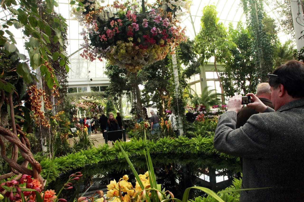 El Jardín Botánico de Nueva York está ubicado en el Bronx, NY y está abierto de martes a domingo de 10 am a 6 pm. 
<br>