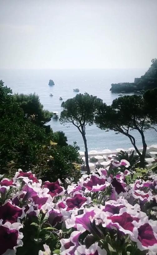 Italia es un país muy especial para los novios y estamos seguros que las visitas a este sitio serán aún más frecuentes.