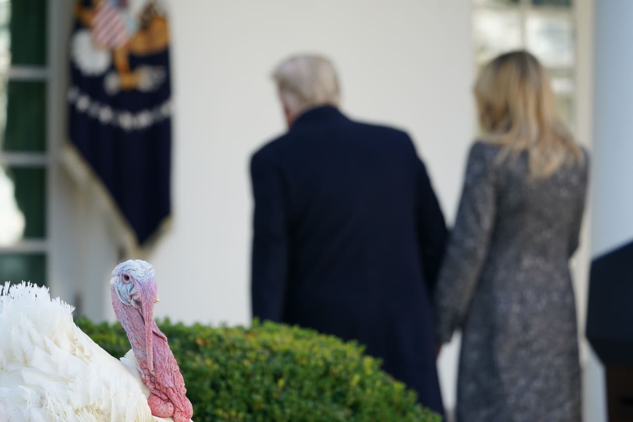 La tradicional ceremonia del 'perdón' del pavo, que han celebrado todos los presidentes de Estados Unidos durante el último cuarto de siglo, surgió con la decisión de Abraham Lincoln de 'salvar' el pavo que iba a cenar su familia en 1863, a petición de su hijo Tad. La ceremonia del próximo año la hará Biden.