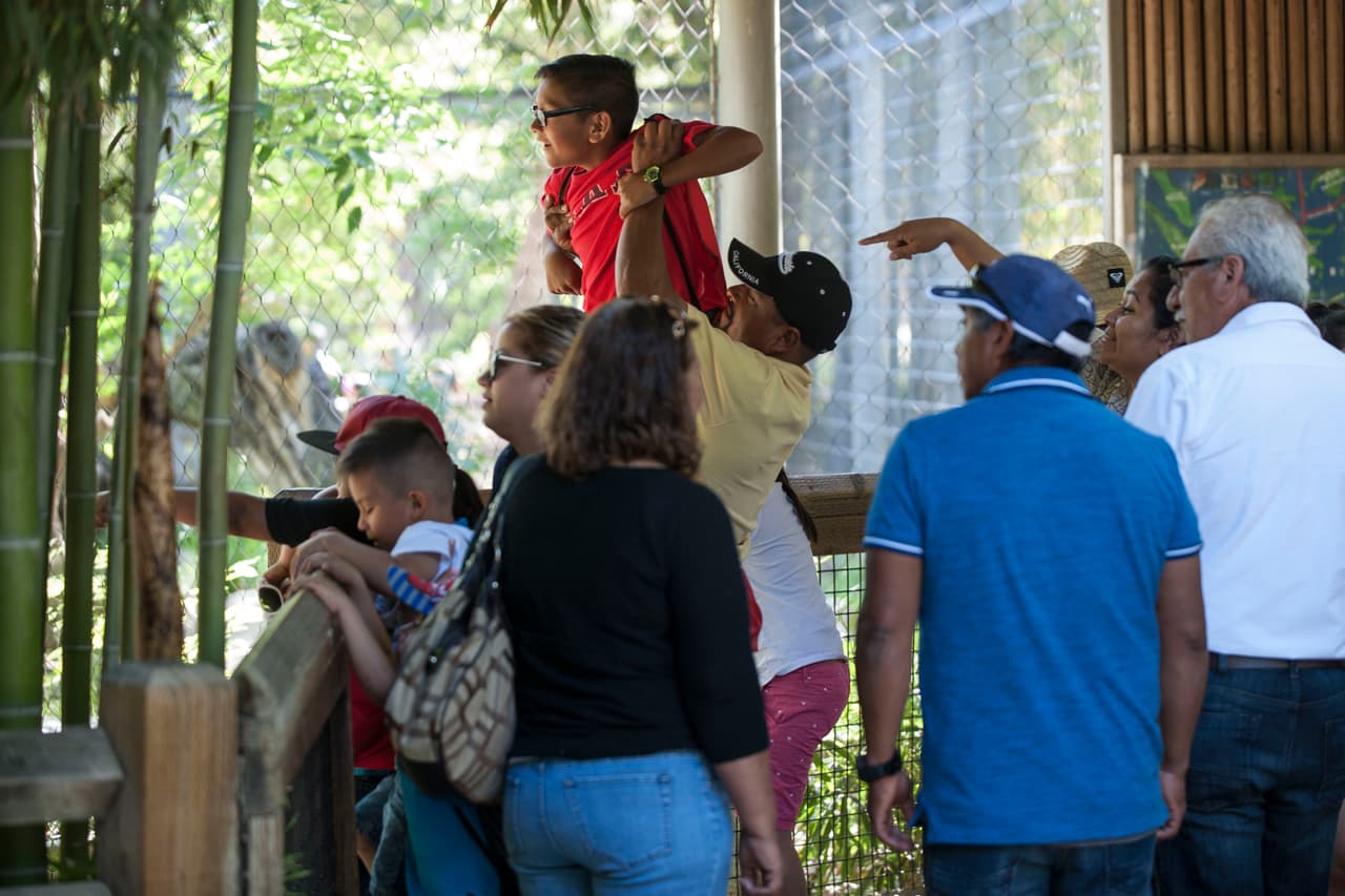 Un bello dia fue perfecto para las familias desde Bakersfield a Modesto.