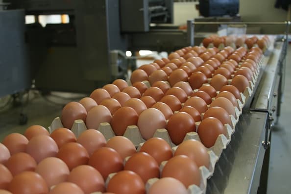 Retiran 200 millones de huevos en nueve estados por temor a que estén infectados con salmonela