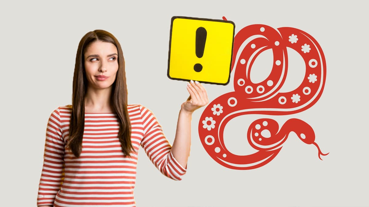 El mes de la serpiente en este 2022 tendrá una gran relevancia por toda la serie de afinidades astrológicas que están ocurriendo en este horóscopo chino.
<br>