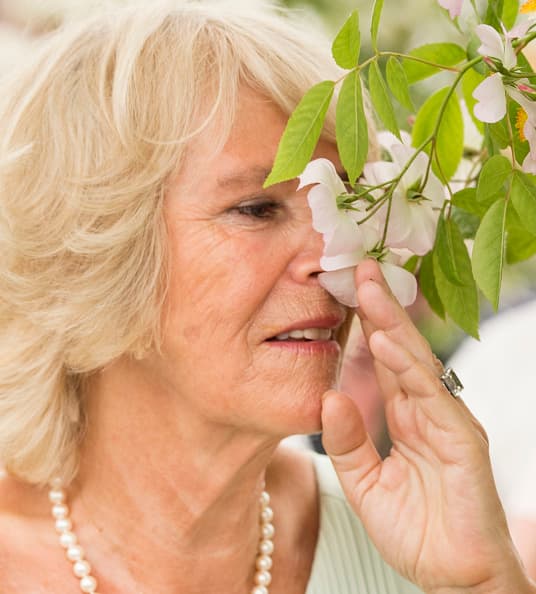 También disfrutó el aroma de las flores que adornan los jardines del lugar.