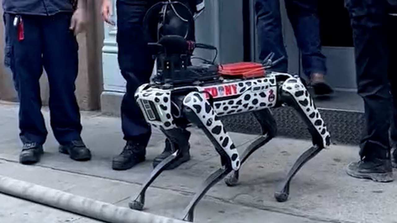 Los "perros robots" que el FDNY usó tras el colapso del estacionamiento en Manhattan: para qué sirven