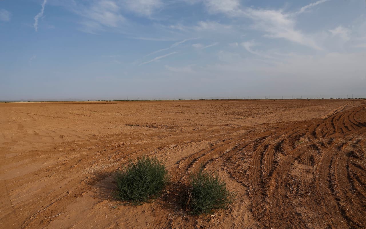 Los recortes se producen antes de lo esperado debido a que la
<a href="https://www.univision.com/temas/sequia">sequía</a> se ha intensificado y los embalses han caído a mínimos históricos en todo el oeste. Los científicos culpan al cambio climático por las condiciones más cálidas y áridas de los últimos 30 años. Las previsiones apuntan que los cortes de agua en el río Colorado afectarán a 40 millones de personas.