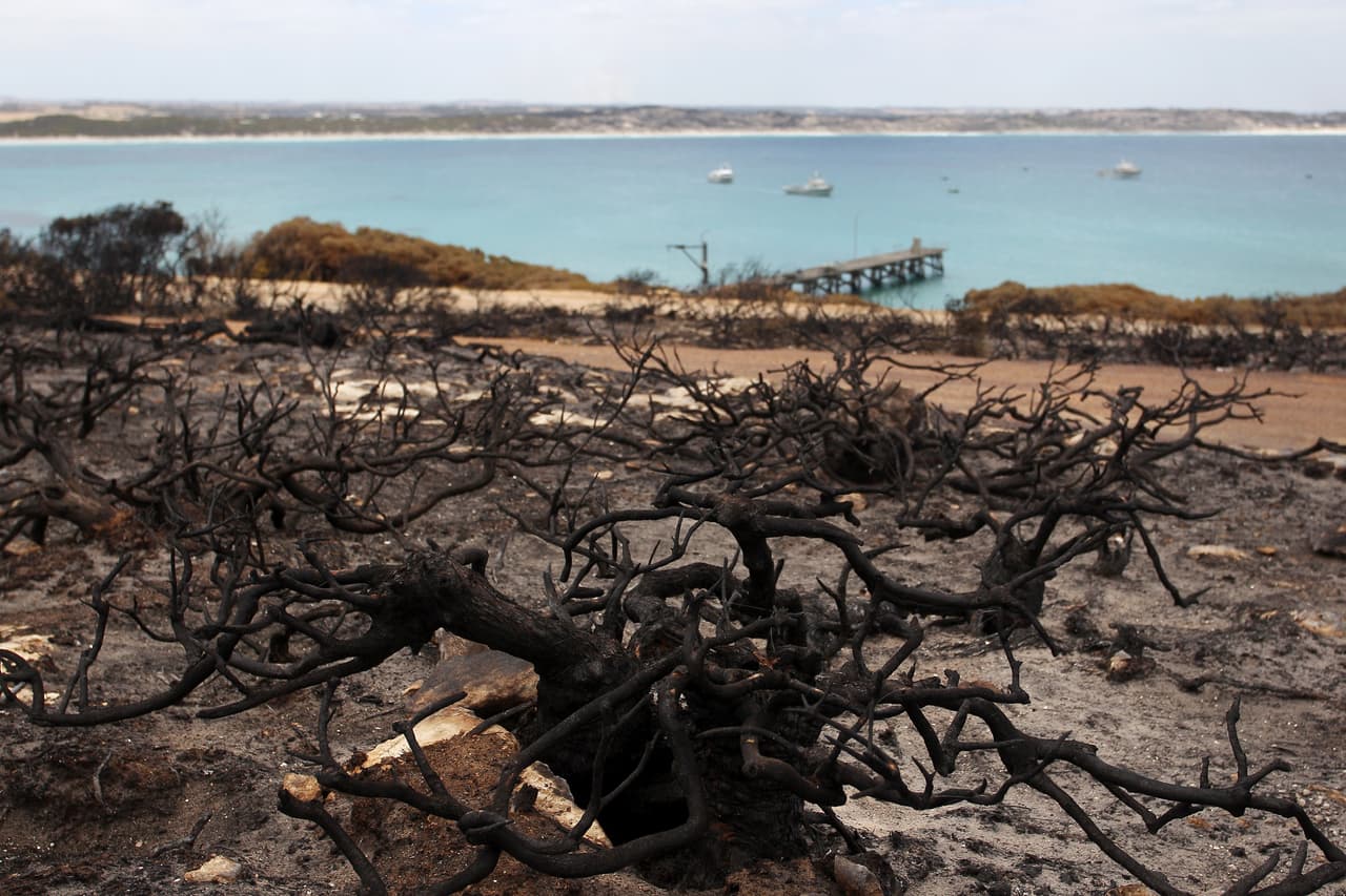 Una imágen de las costas de Vivonne Bay en Kangaroo Island. La crisis de incendios que afecta al sureste de Australia se ha cobrado al menos 26 vidas desde septiembre, destruyó 2,000 viviendas y arrasó una zona equivalente a poco más que la superficie de Panamá.