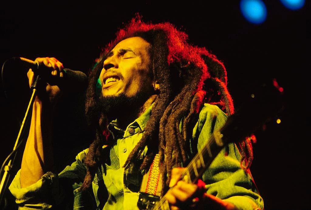 <b>Bob Marley</b> por su puestoque le cantó a la marihuana y uno de los títulos más recordados es ‘
<b><a href="https://www.youtube.com/watch?v=7JUm_Y0R6Og" target="_blank">Kaya</a></b>’, que entre otras cosas, es una forma para referirse a la hierba de los rastafarris.