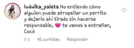 Con este comentario, Ludwika Paleta aclaró que Cocó murió tras ser atropellada por un conductor.