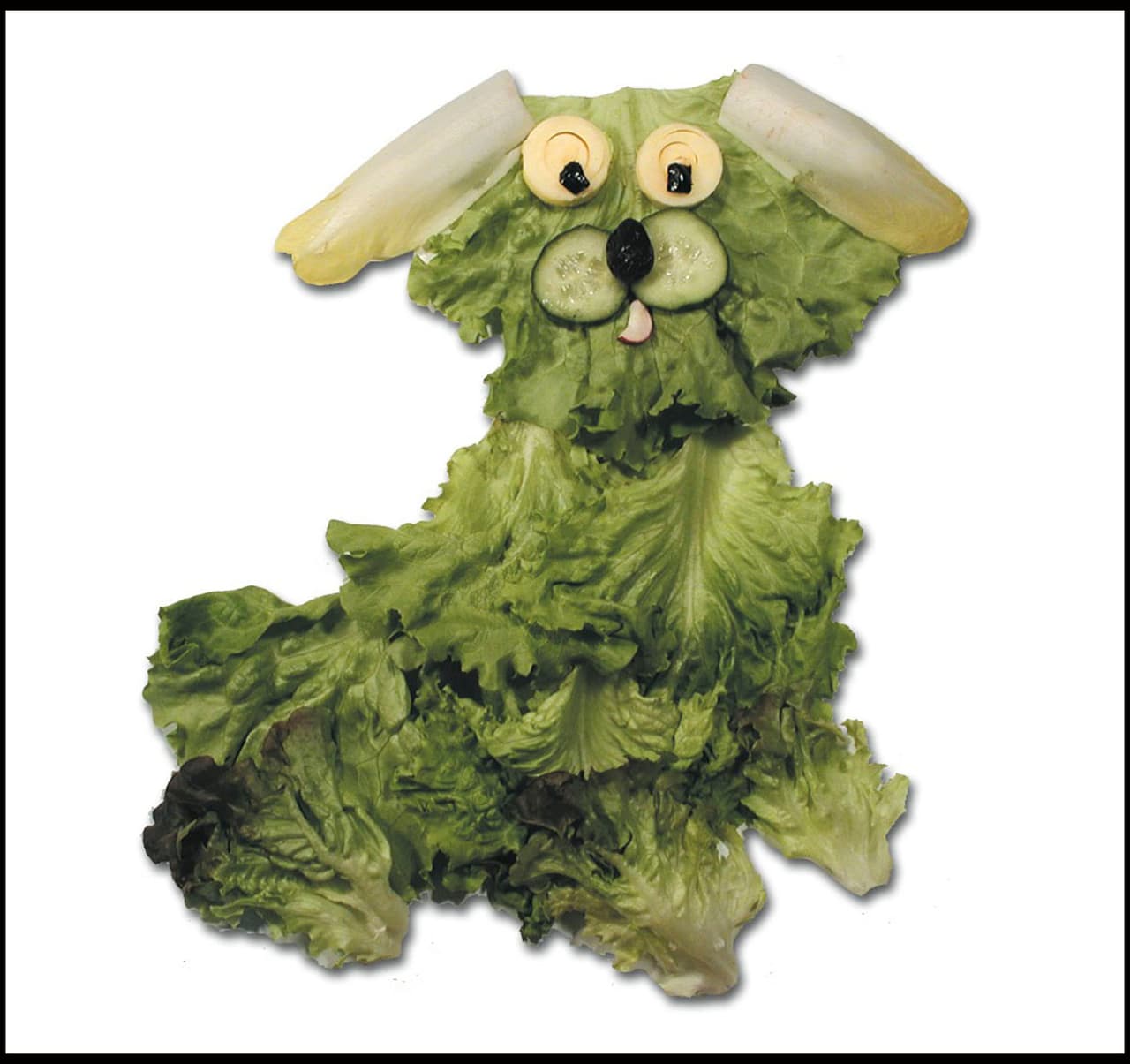 ¿Qué tal este perrito súper tierno?