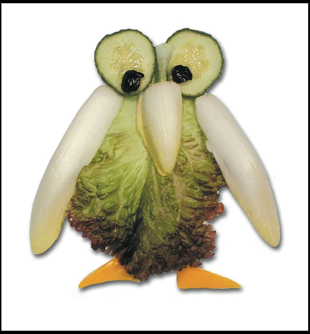 ¡Un pingüino muy lindo!