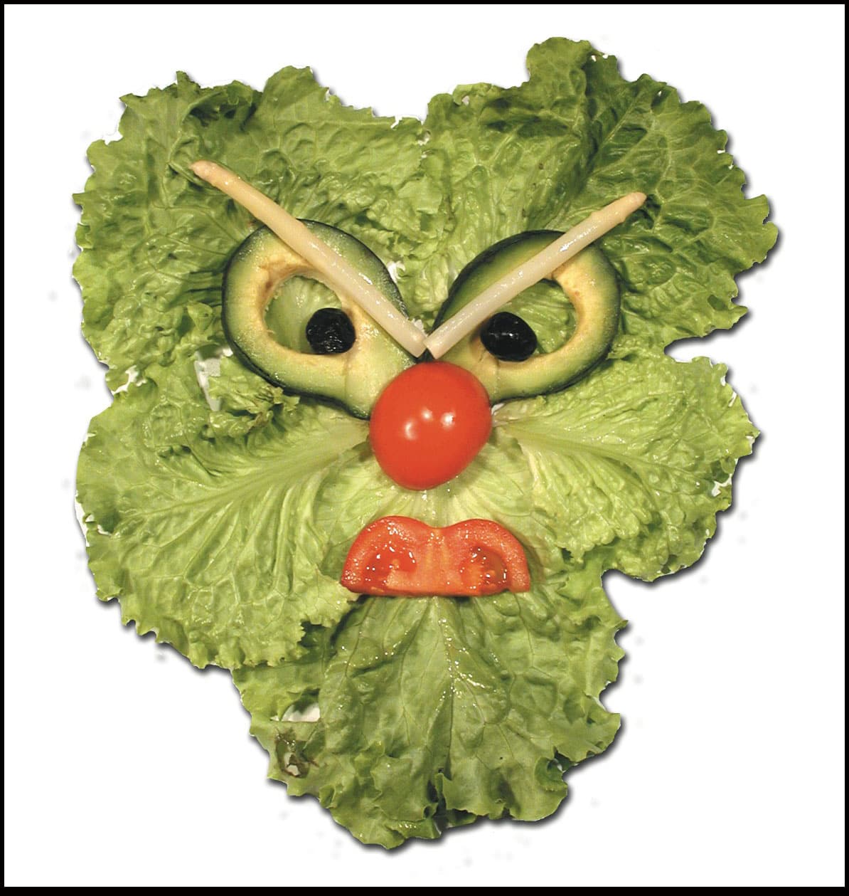 ¡¿Leonardo Da Veggie?! No, su nombre es Daniel y vive en París, Francia.