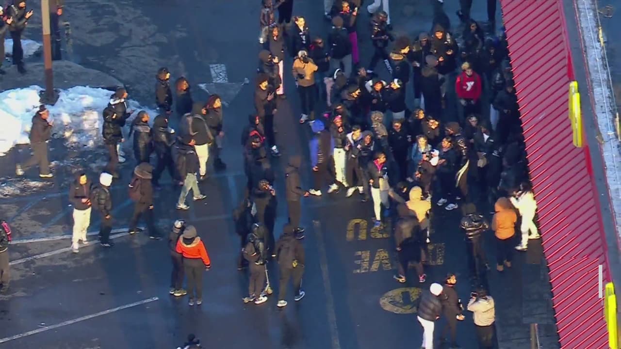 Detienen a 18 adolescentes tras toma masiva de centro comercial en El Bronx.