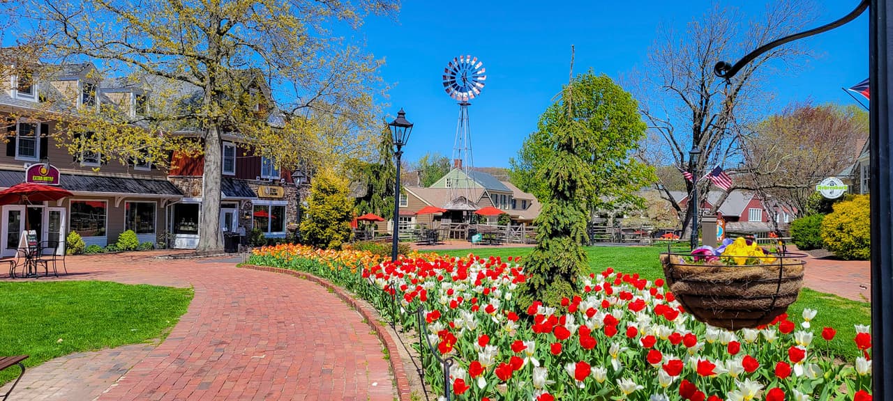 <b>Lahaska</b>. El condado de Bucks es una gran destino para disfrutar de unas vacaciones de primavera familiares en Lahaska. Peddler's Village es un pueblo histórico repleto de restaurantes, tiendas y jardines. El Spring Fling Festival, por ejemplo, se lleva a cabo en abril. Giggleberry Fair tiene un carrusel que emociona a los más pequeños y una sala de juegos para deleitar a los niños de cualquier edad, mientras que Cock 'n Bull sirve comidas espectaculares.
<br>
<br>
<b><a href="https://goo.gl/maps/HToYoeVo59kNeTmm9">Cómo llegar</a></b>