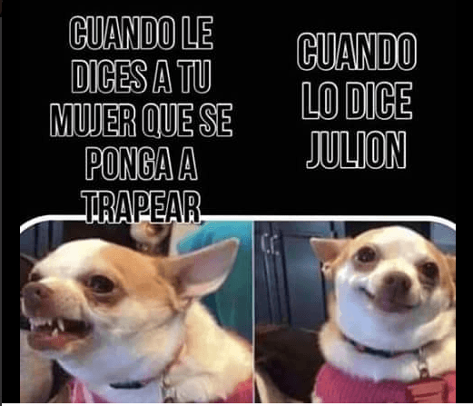 No faltaron este tipo de imágenes y este del perrito fue uno de los más vistos.