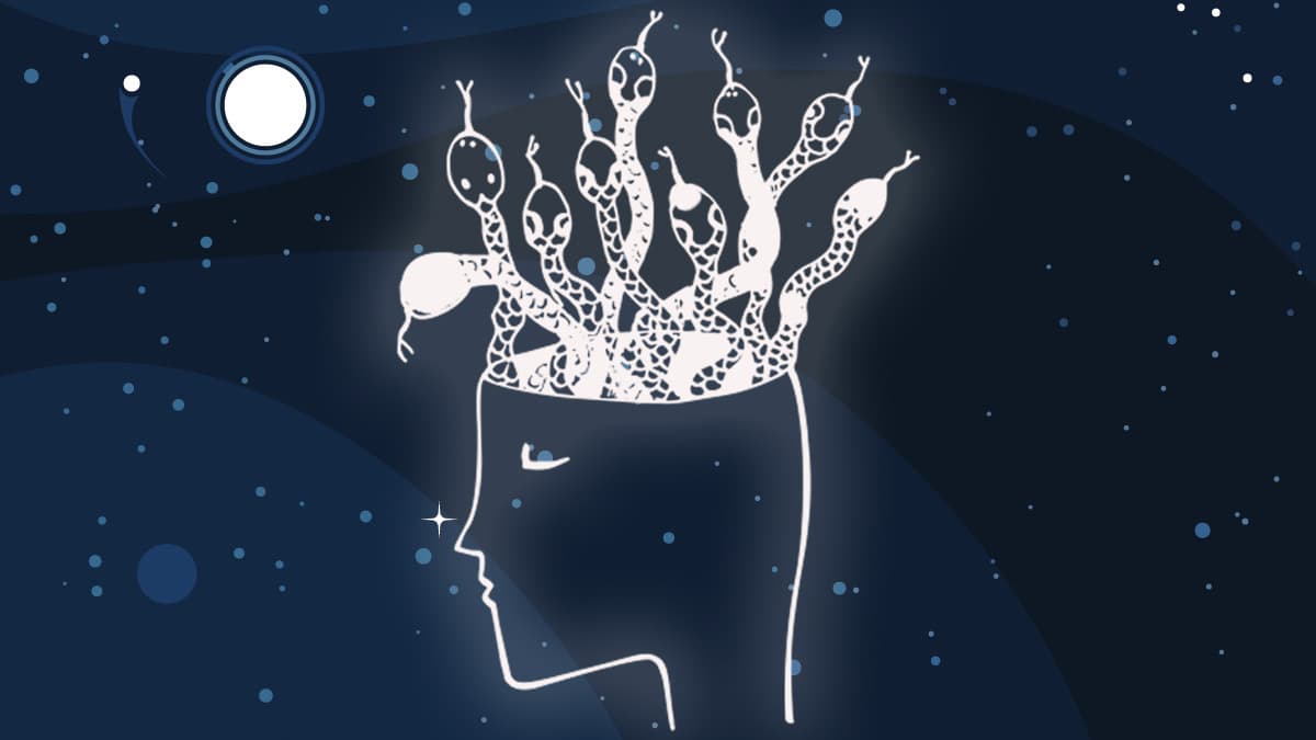 Los sueños suelen revelarnos muchas incógnitas de nuestro subconsciente, por lo que en esta ocasión te hablaremos sobre qué significa soñar con serpientes, culebras y víboras.