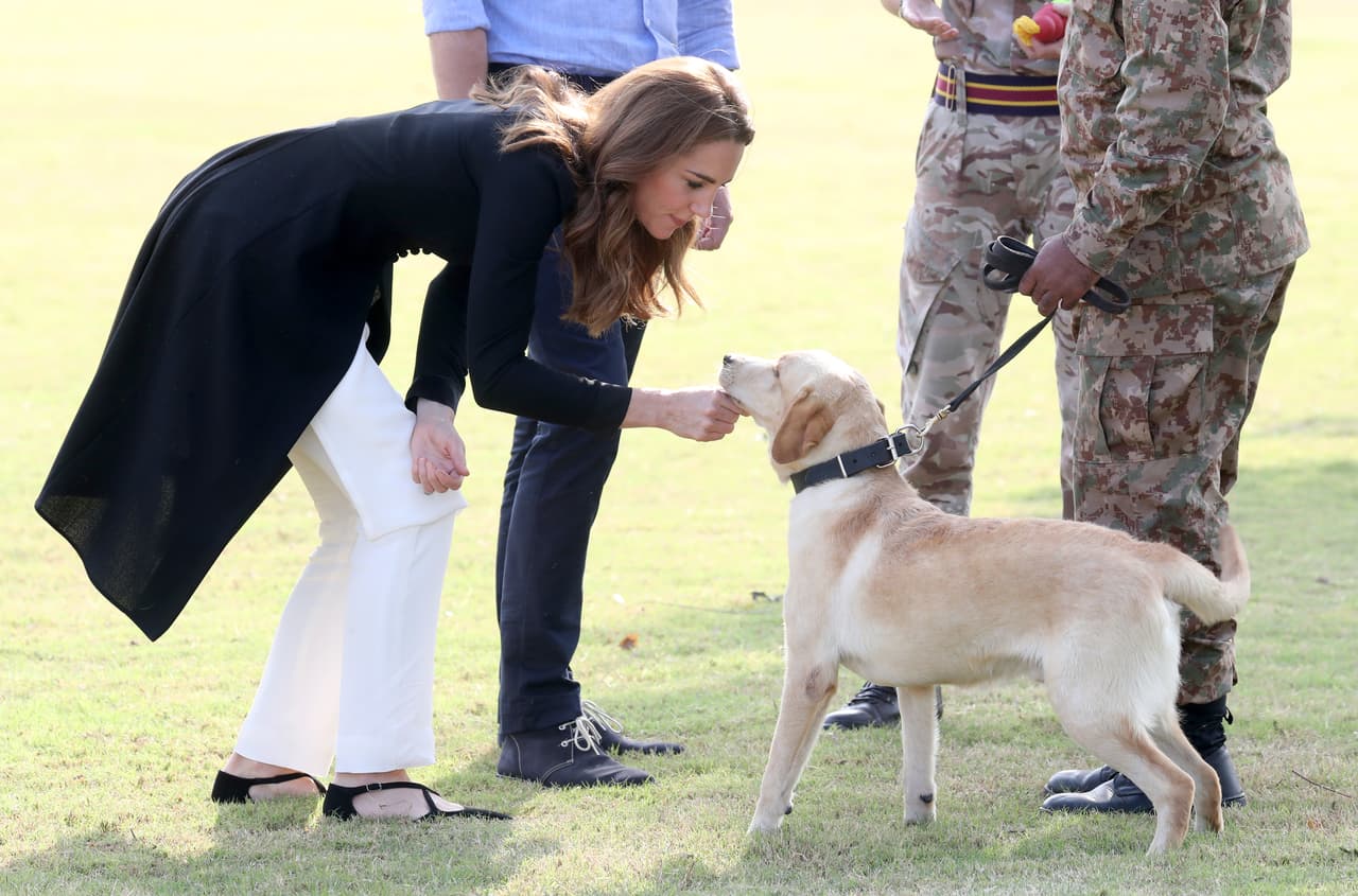 El evento terminó con una demostración de obediencia de cinco pastores alemanes.