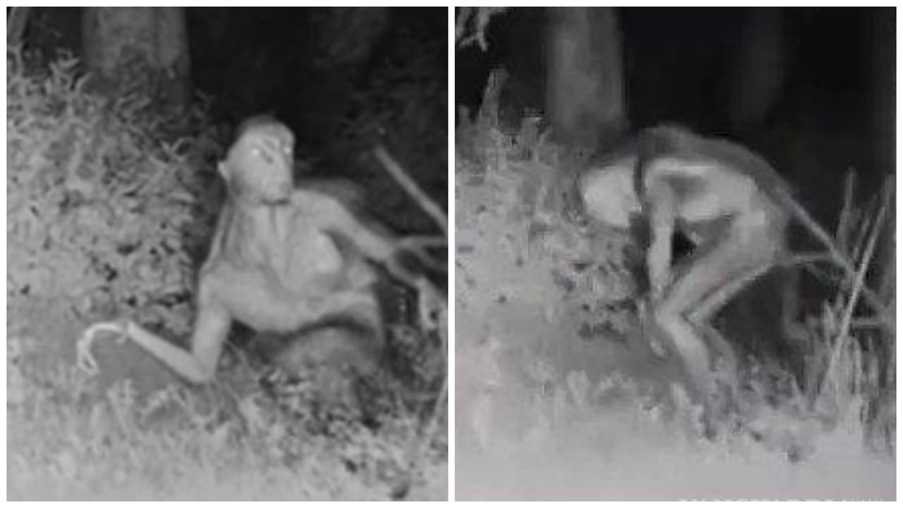 Revelan la verdad tras aterrador video viral de extraterrestre captado en casa de Las Vegas