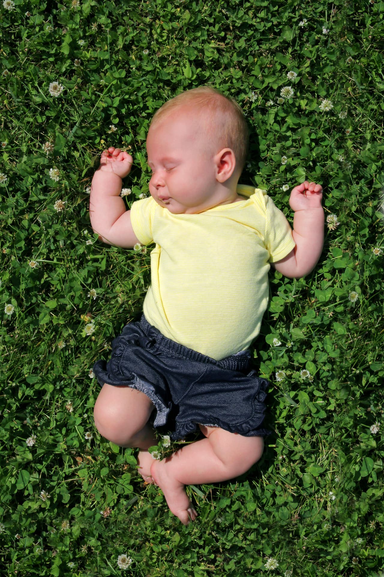 ¡El Portal del León! ¿Qué te espera a partir de ahora según tu día de nacimiento? Por Profesor Zellagro