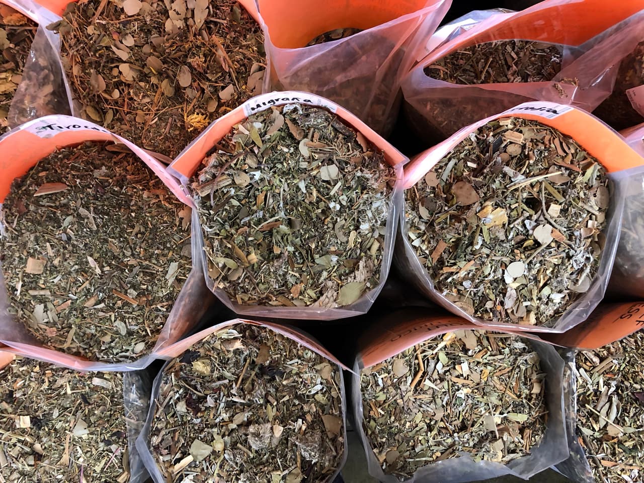 El uso de las plantas medicinales es una costumbre prehispánica a la que muchos tienen fe, y seguirá vigente porque se pasa de generación en generación, pero antes de tomarlas siempre manténgase informado para evitar problemas con su salud.