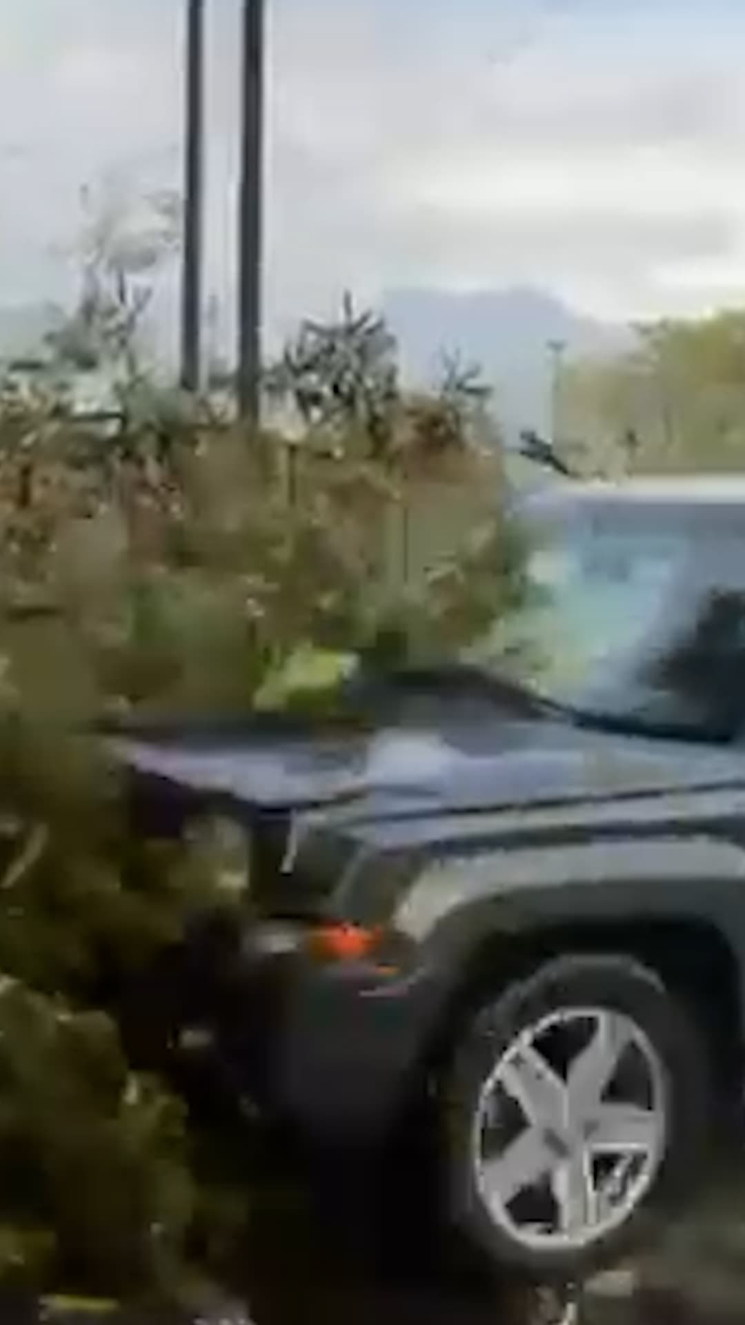 Camioneta pierde el control y atropella a reportera y camarógrafo durante transmisión en México