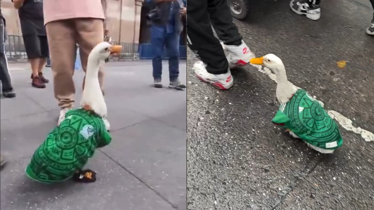 Merlín, el patito mexicano que se ganó el corazón del Mundial de Futbol
