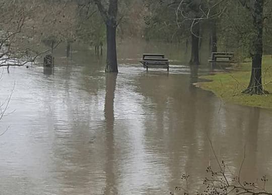 Las fuertes lluvias inundaron parques. (Foto cortesía de J. Luis Rodriguez tomada en Mason Park)