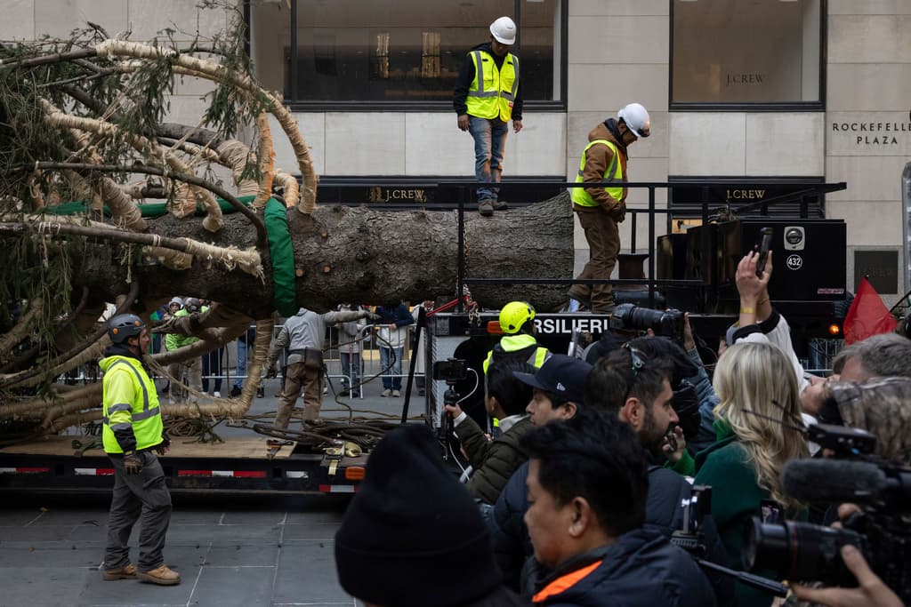 Erik Pauze es el jefe de jardinería del Rockefeller Center y encargado de encontrar el abeto noruego que da vida a esta tradición de 93 años. Relató a AP que en 2020 iba manejando cuando vio el árbol y tuvo que bajarse a tocar en la puerta de la familia a preguntar si les gustaría donarlo. No sabía que Lesley Albert había muerto, pero su viudo Earl aceptó donarlo rápidamente.