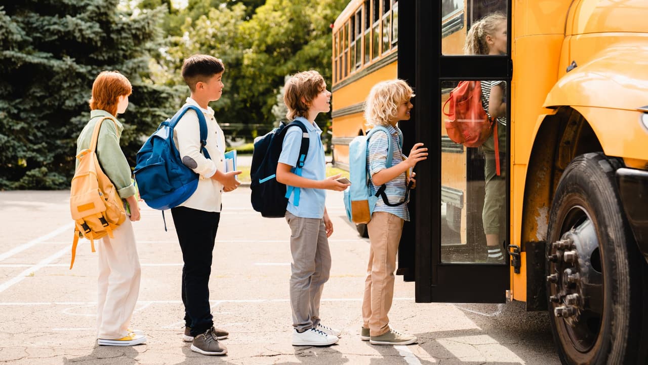 <b>En resumen 🚌</b> El amarillo de los autobuses escolares no es un capricho. Es un símbolo de seguridad que nació en 1939, se convirtió en ley en Texas y hoy 
<b>sigue salvando vidas cada mañana y cada tarde.</b>